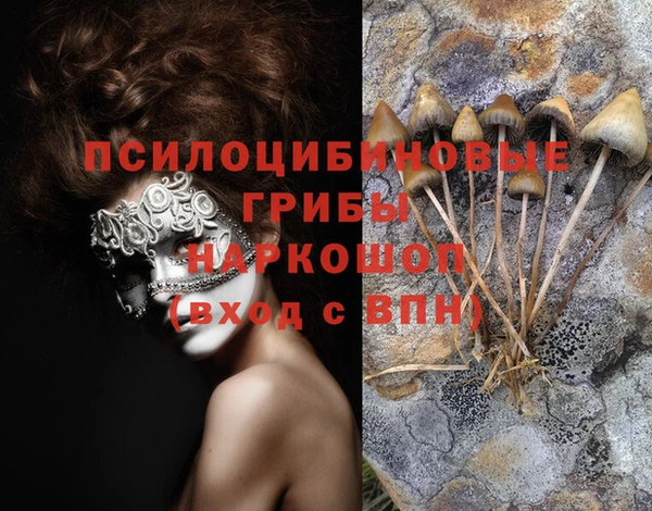 дмт Зеленокумск