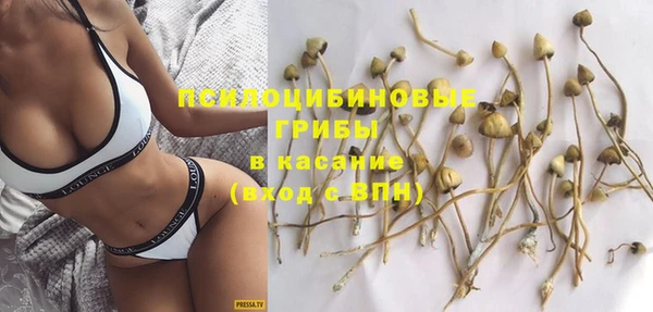 дмт Зеленокумск